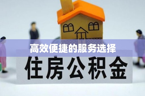 行唐高效便捷的服务选择